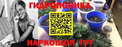 mix Ставрополь