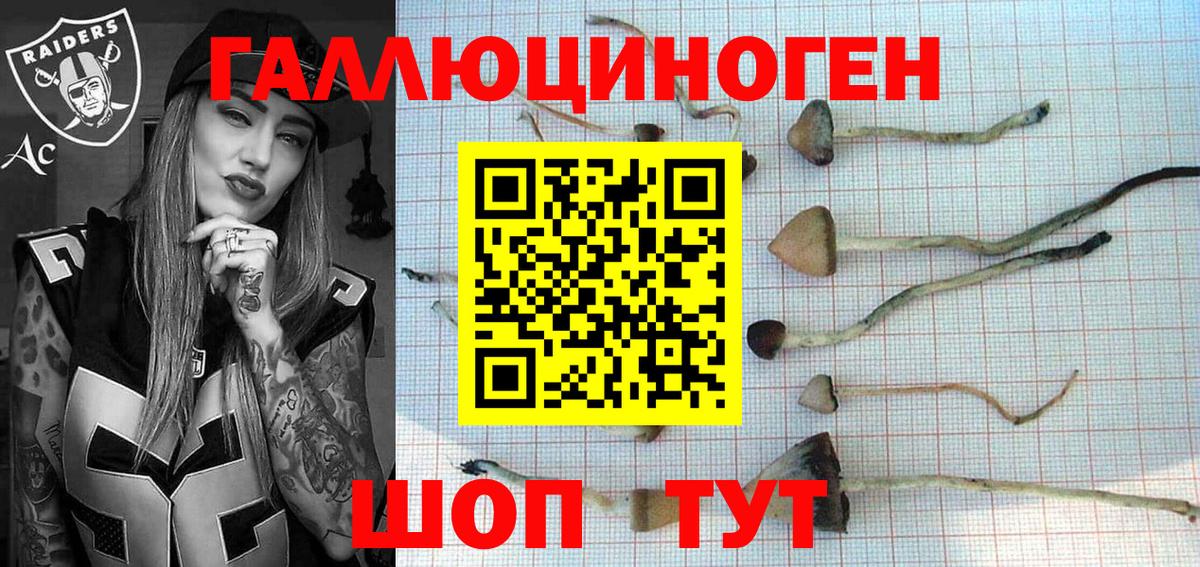 Псилоцибиновые грибы Psilocybine cubensis Пушкино